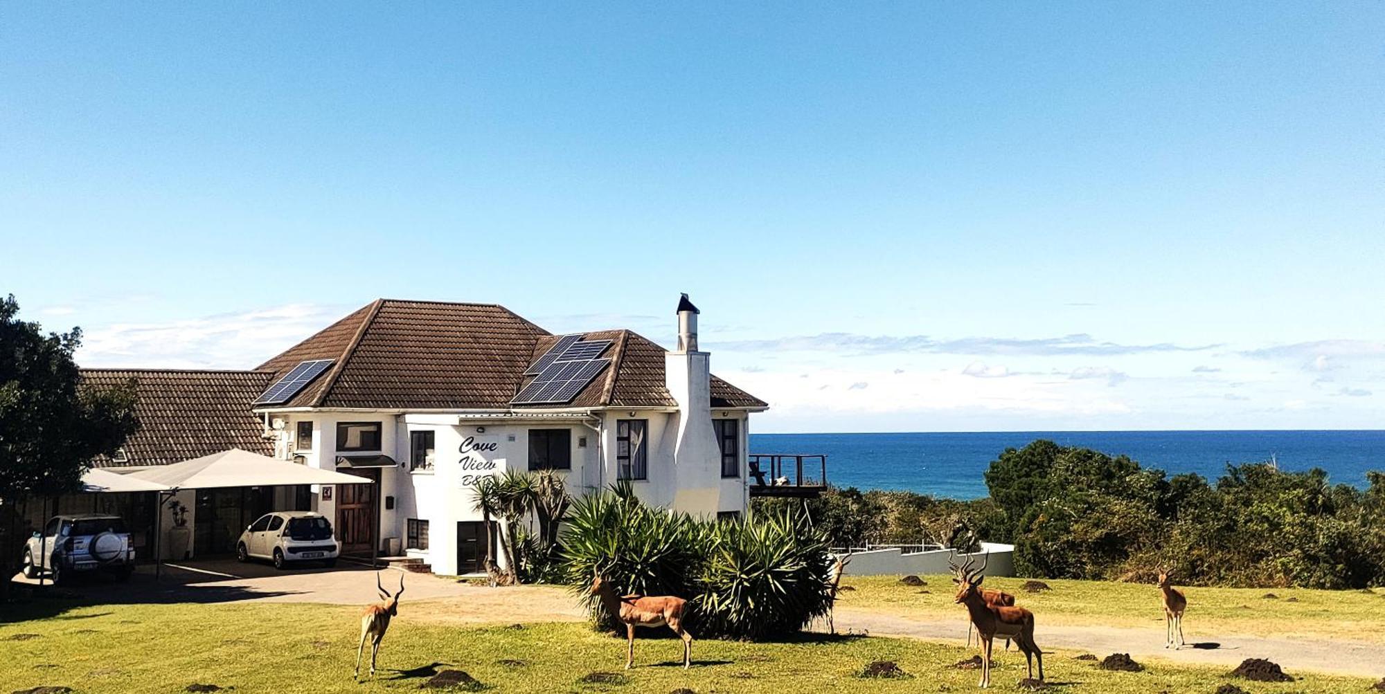 Cove View B&B East London Εξωτερικό φωτογραφία