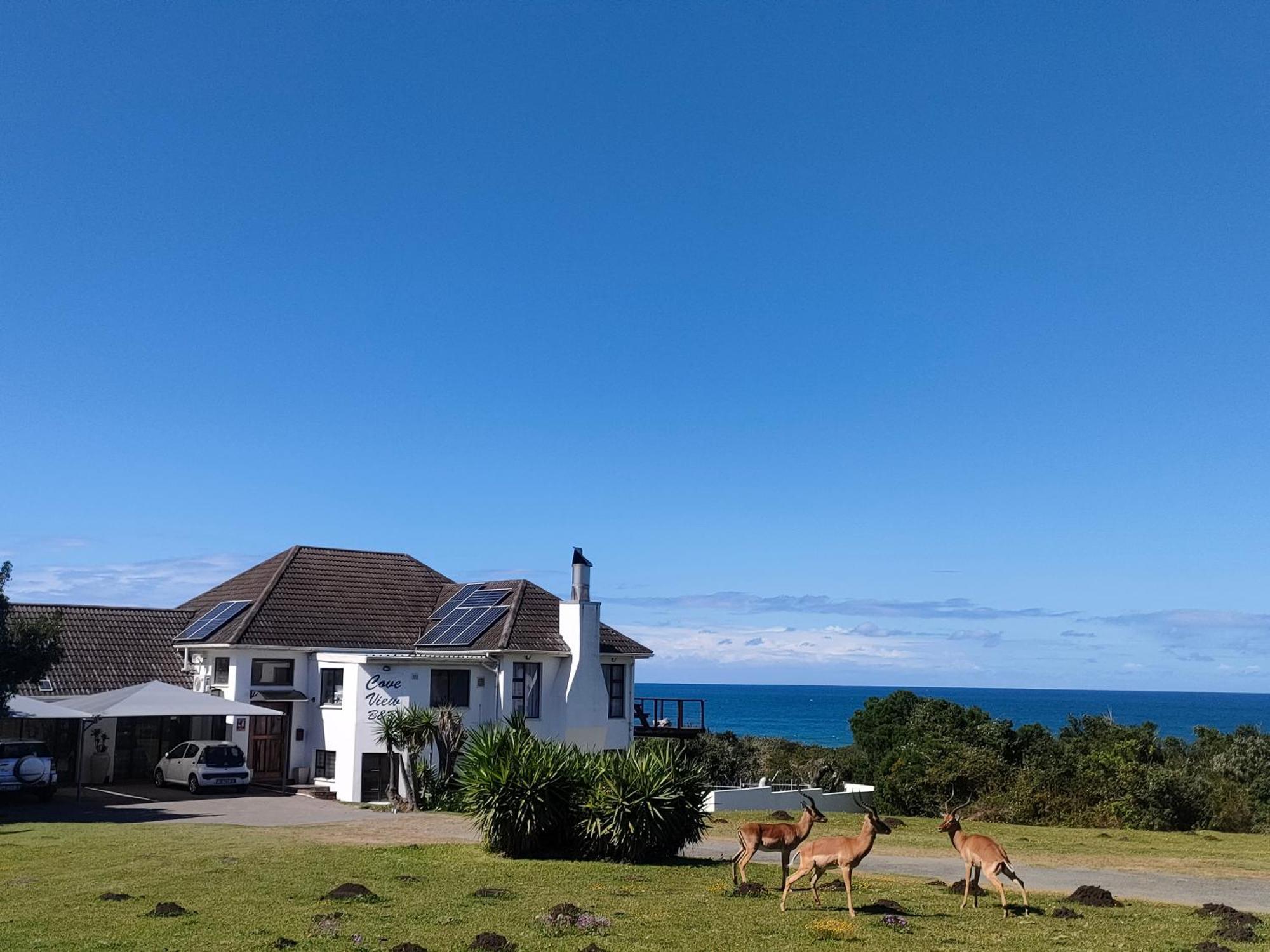 Cove View B&B East London Εξωτερικό φωτογραφία